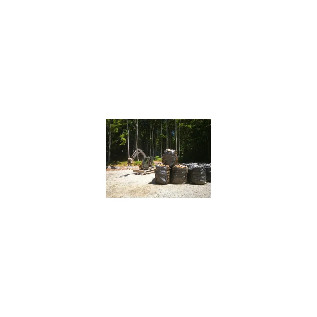 forest-bag-1-stere-fond-plat (1).webp